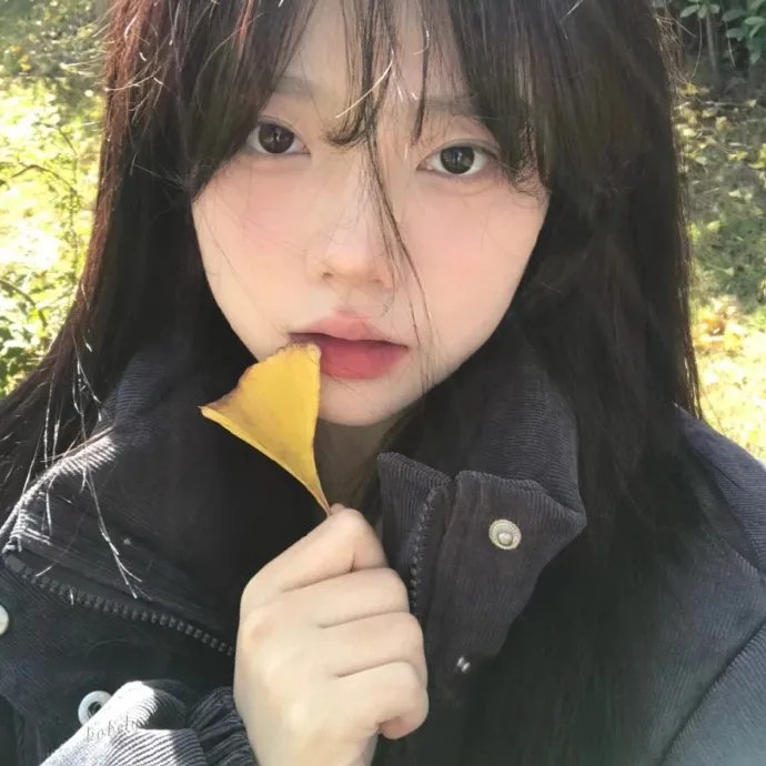 两个人的小森林 在线观看